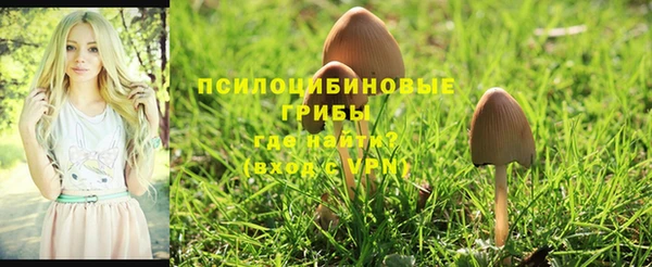 дживик Медвежьегорск