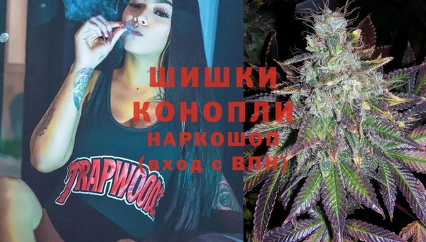 дживик Медвежьегорск