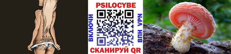 Псилоцибиновые грибы Cubensis  Купить где  Зея 